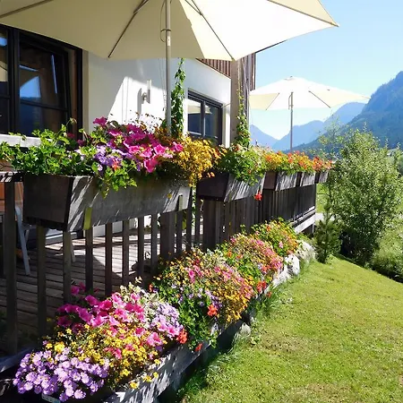 Appartement Gosaukamm.com *