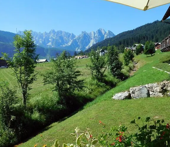 Apartment Gosaukamm.com *